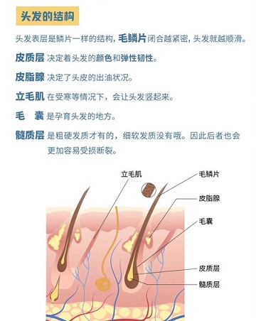 保持头皮的生态平衡，才能避免脱发，长出健康的头发