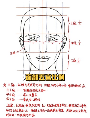 脱发后,三庭五眼比例打破后对颜值有何影响? 脱发后,三庭五眼比例打破后对颜值有何影响?